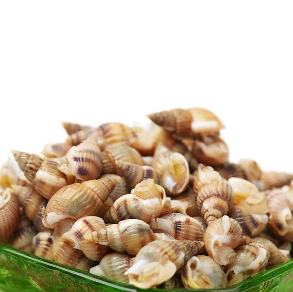 Whelks — Stock Photo, Image