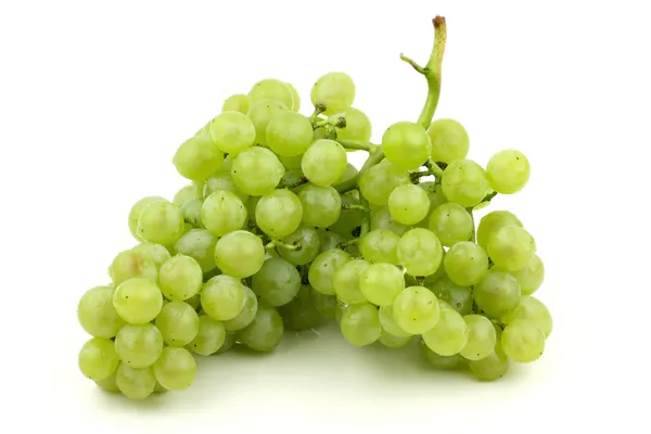 Fresh grapes — Stock Photo, Image