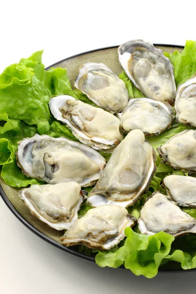 Fresh opened oyster — Stock Photo, Image
