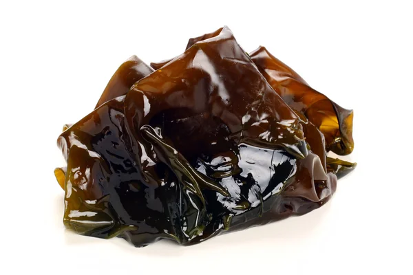 Siyah mantar — Stok fotoğraf