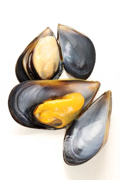 Cooked mussels — Stock Photo, Image