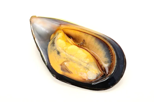 Cooked mussels — Stock Photo, Image