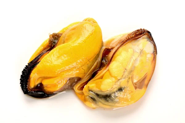 Mejillones cocidos — Foto de Stock