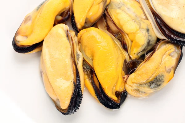 Cooked mussels — Stock Photo, Image