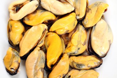 taze haşlanmış midye