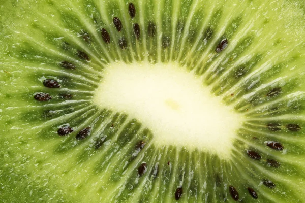 Kiwi — Stock Photo, Image