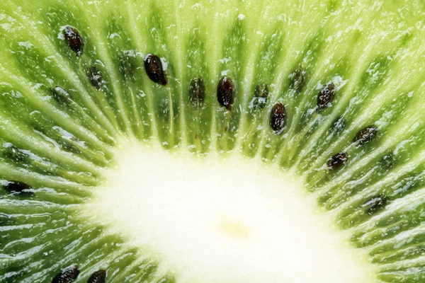 Kiwi — Stock Fotó