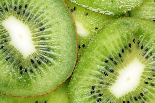 Kiwi — Stock Fotó