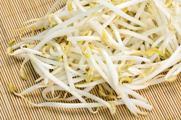 Mung bean sprouts — Stock Photo, Image