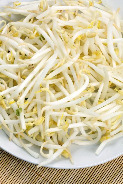Mung bean sprouts — Stock Photo, Image
