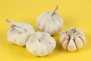 sarımsak