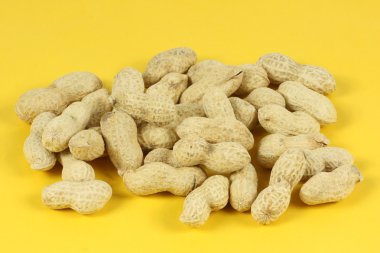 beyaz arkaplanda fıstık