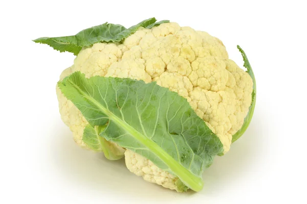 Cauliflower — Stock Photo, Image