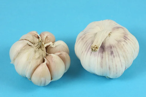 Garlic — Stock Photo, Image