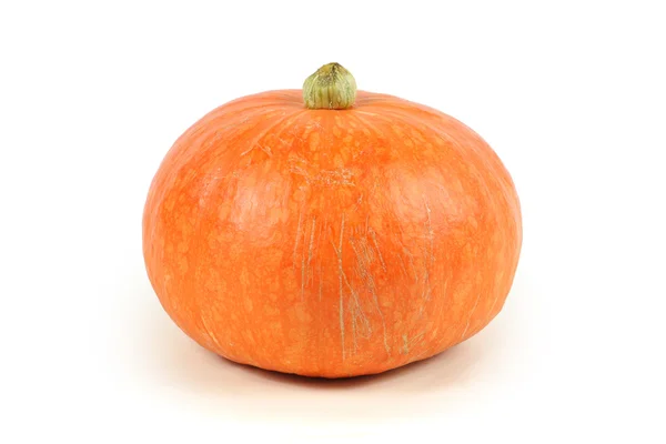 Pumpkin — Stock Photo, Image