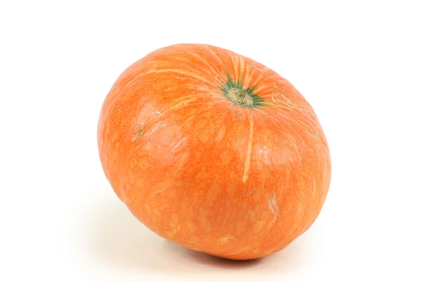 Calabaza — Foto de Stock