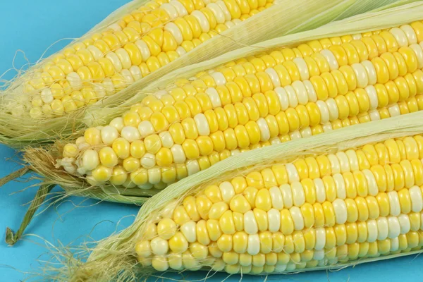 Kukurydza — Zdjęcie stockowe