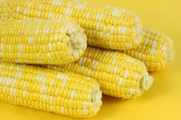 Corn — Stock Photo, Image