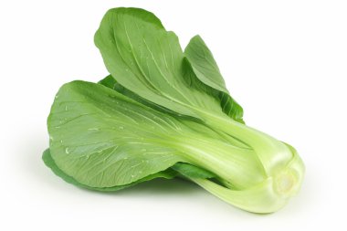 Pok Choi