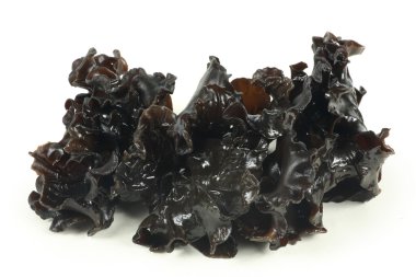 Beyaz arka planda siyah mantar