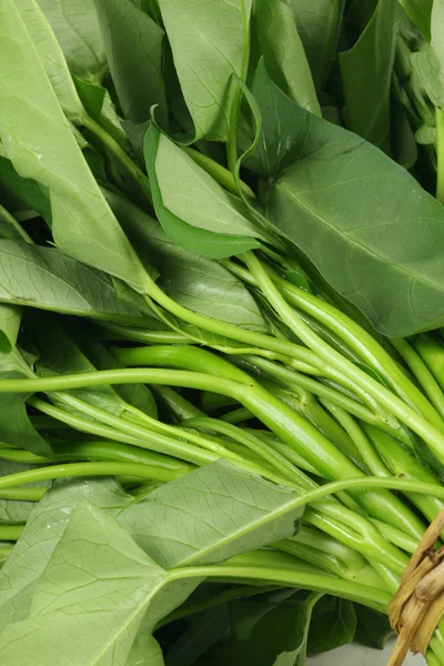 Water spinach — Stock Photo, Image