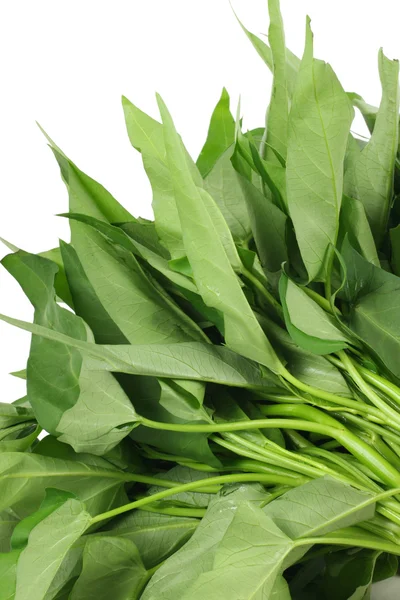 Water spinach — Stock Photo, Image