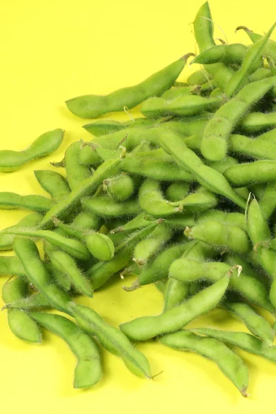 Frisch geerntete Sojabohnenpflanze (edamame) isoliert auf gelbem Hintergrund — Stockfoto