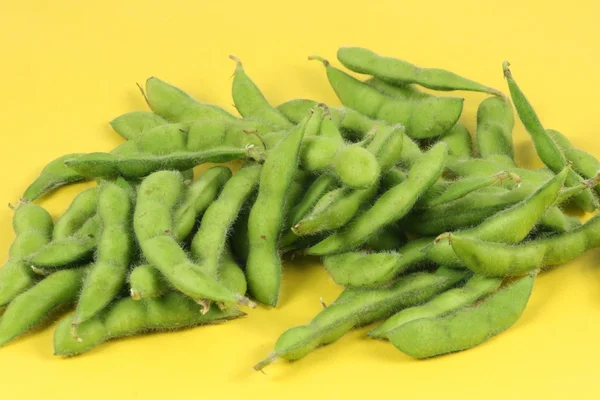 Fresh harvested soybean — Stok fotoğraf