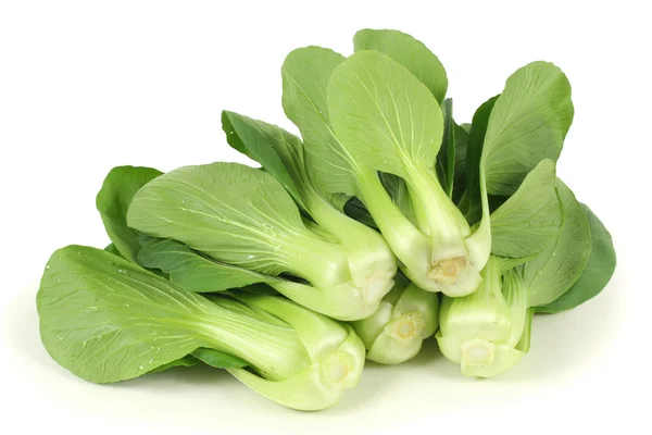 Pok Choi — Foto Stock