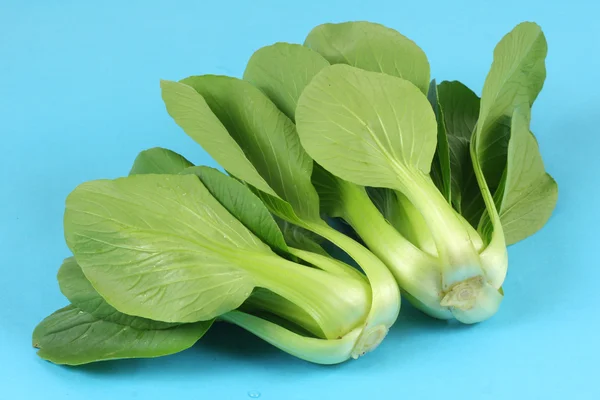 Pok Choi — Foto Stock