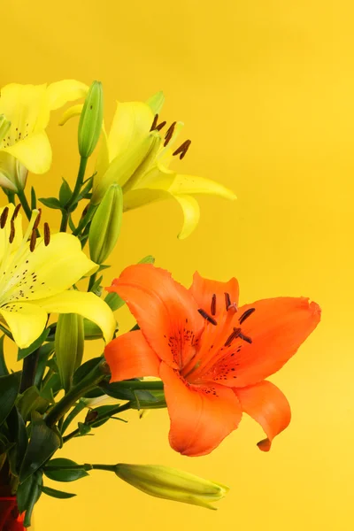 Yellow lilies — Stock Photo, Image