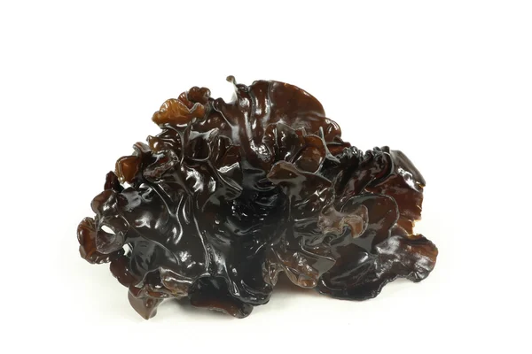 白い背景に黒い菌類 — ストック写真