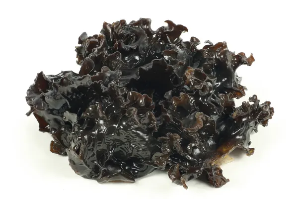 白い背景に黒い菌類 — ストック写真