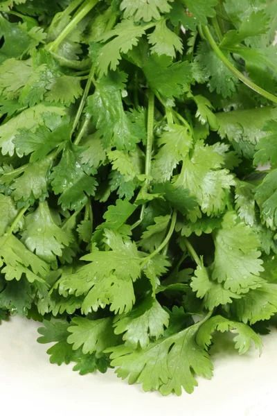 Parsley on White Background — Stock Photo, Image