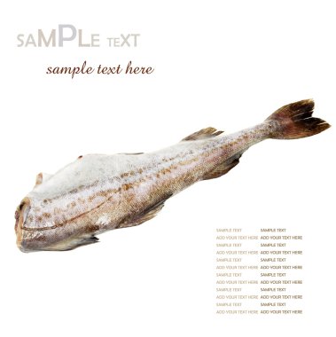 Morina balığı karkas