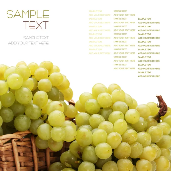 Зеленый виноград на белом фоне — стоковое фото