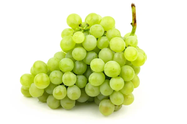 Bunch of fresh grapes on white background — Stock Photo, Image