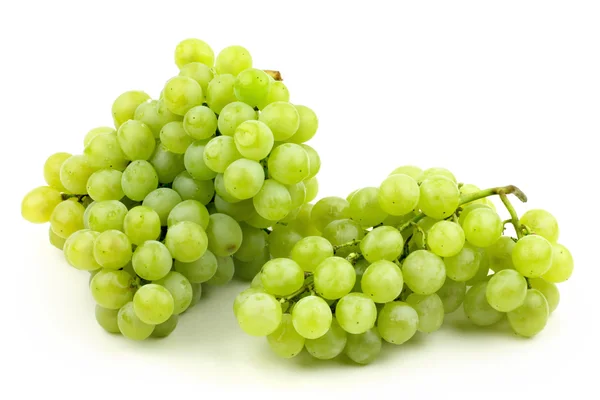 Racimo de uvas frescas sobre fondo blanco — Foto de Stock