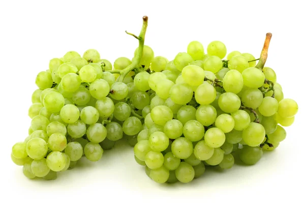 Racimo de uvas frescas sobre fondo blanco — Foto de Stock