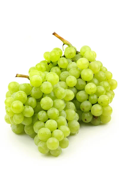 白色背景下的一串新鲜葡萄 — 图库照片