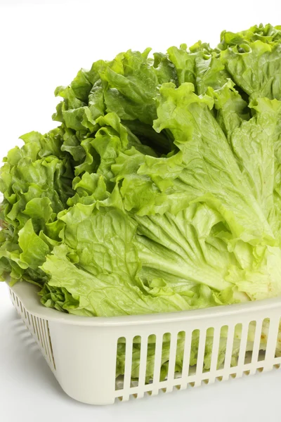 Fresh lettuce on white background — Stock Photo, Image