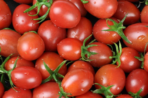 Kleine Kirschtomaten Hintergrund Nahaufnahme — Stockfoto