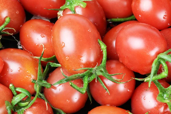 Malé cherry rajčátek pozadí zblízka — Stock fotografie