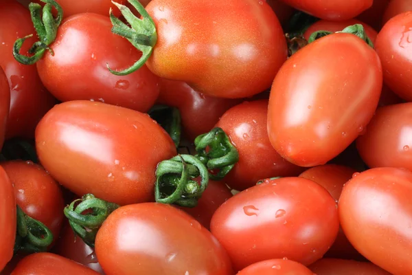 Små körsbär tomat bakgrund på nära håll — Stockfoto