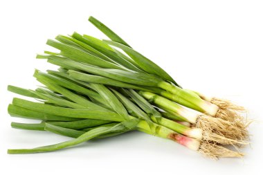 Beyaz arkaplanda yeşil soğan