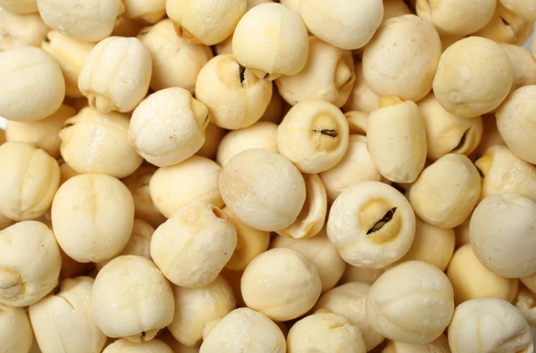Lotus nuts — Stock Photo, Image