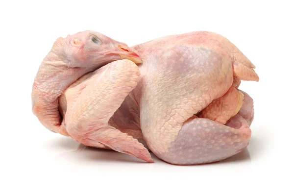 Surowy kura — Zdjęcie stockowe