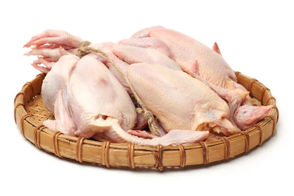 Gallina cruda — Foto de Stock