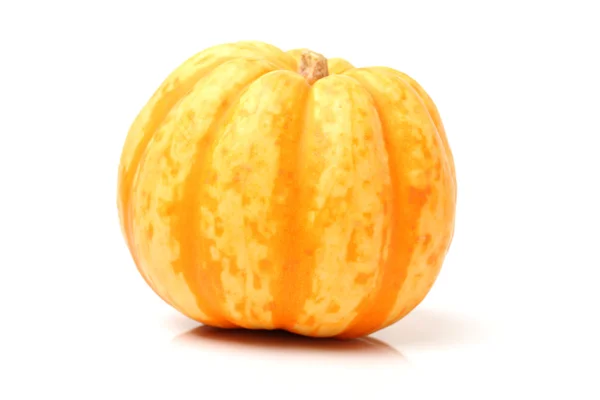 Mini calabaza —  Fotos de Stock