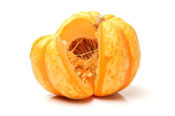 Mini zucca — Foto Stock